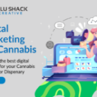 Maximize Your Reach: Expert Cannabis SEO Strategies for Growing Your Dispensary