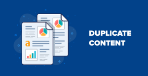 An example of a duplicate site from Ahrefs.